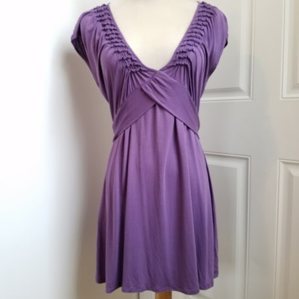 A Pea in the Pod Maternity top/dress (S)